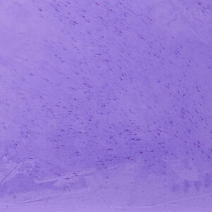 Eine detailreiche Wandgestaltung mit hSTUCCORINO Marmor-Kalkputz in lebendigen violetten Tönen verleiht dem Raum elegante Wände.